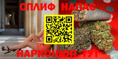 ECSTASY Камень-на-Оби