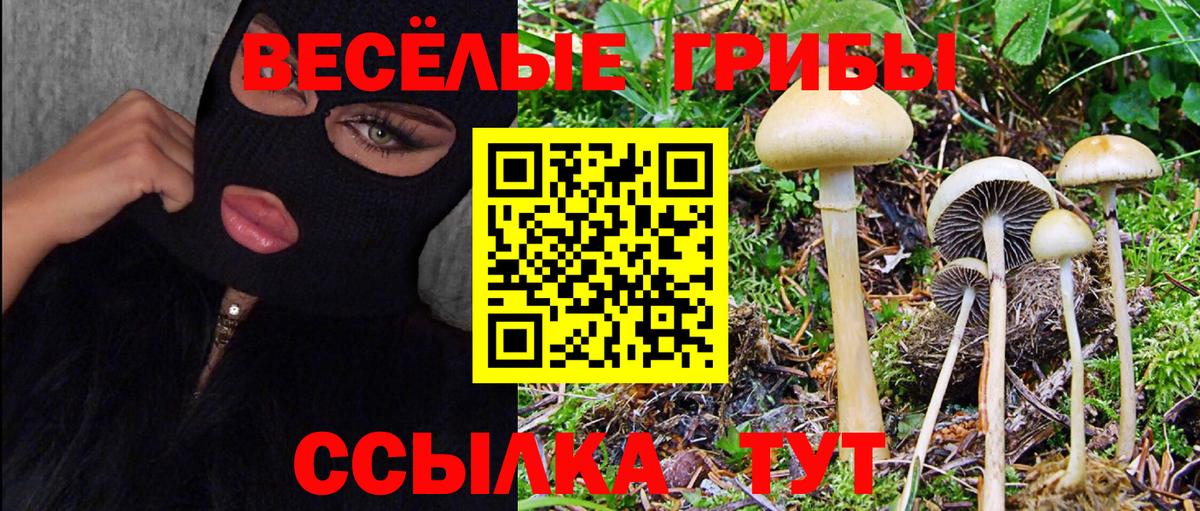 Галлюциногенные грибы MAGIC MUSHROOMS Ефремов