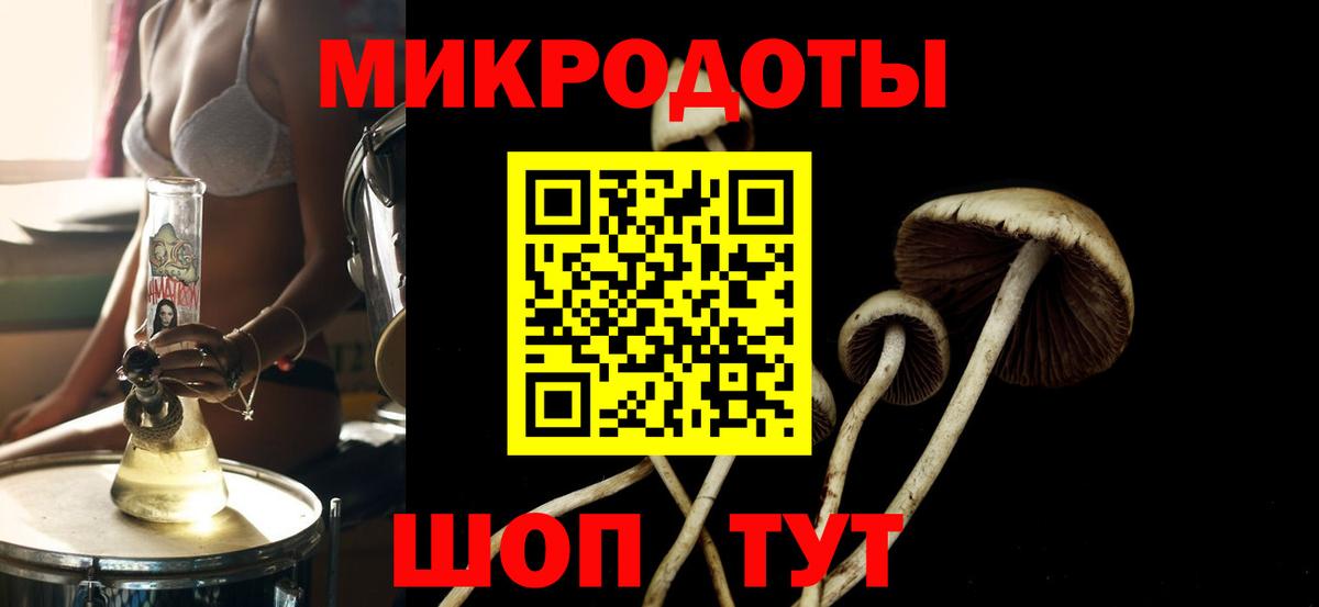 Ефремов  Псилоцибиновые грибы ЛСД  Вход с VPN 