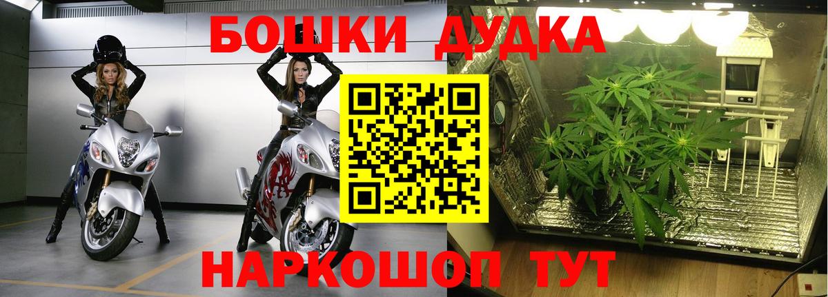 МАРИХУАНА семена Ефремов